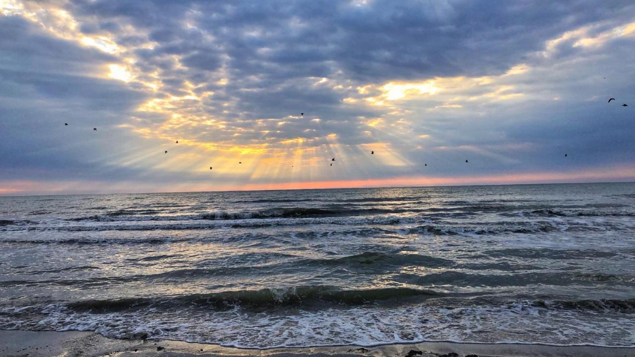 Lucky Star Studio Mamaia Nord Năvodari Eksteriør bilde